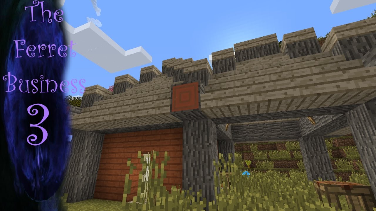 The Ferret Business - EP03 - Ugly Asian House!