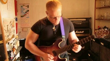 Musicman Steve Morse Y2D