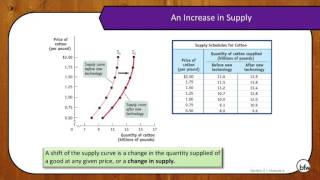 Module 6 - Supply