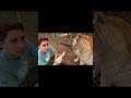 نمر ذهبي نادر جدا Shorts 