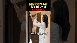 絶対にむやみに猫を飼ってはいけません