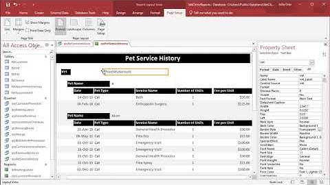 Access - Reports Adding a Calculated Field