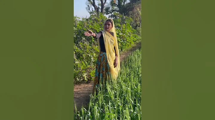 #Roshni#comedy  #Shorts