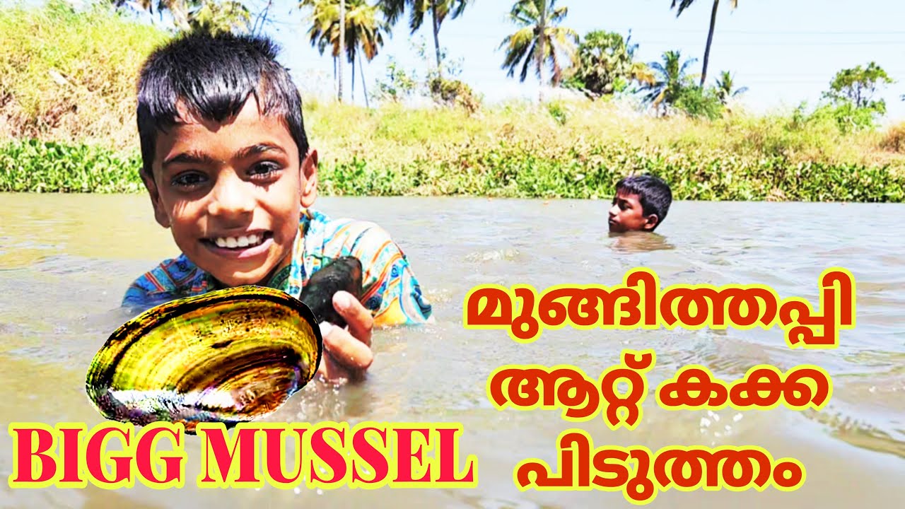 How To Find Fresh Water Mussels And Clams how-to-find-fresh-water-mussels-and-clams