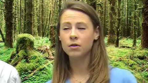 Collaboration Benefits