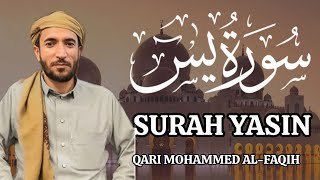 Surah Yasin. Yaseen. سورہ یاسین Very Peaceful Recitation By Qari Mohammad Al - Faqih