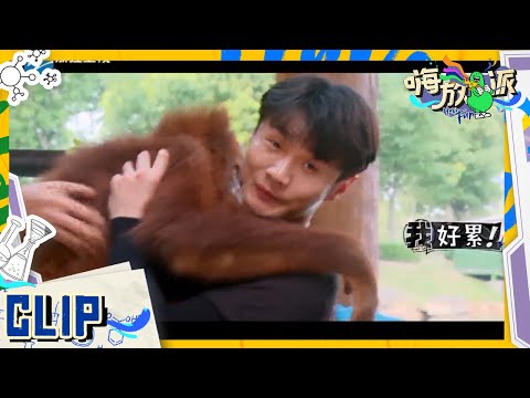 什么是猩猩向“荣”？李荣浩现在就带你研究！杨丞琳看了都会有危机感吧！ #嗨放派2 Have Fun 2 EP2花絮 20220813