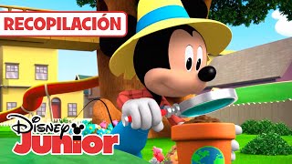 MICKEY & MINNIE: Recopilación Mickey & Yo, Los cuentos de Minnie: Campamento  | @DisneyJuniorES