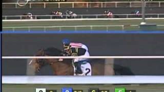 The 30th Running of the Hollywood Starlet (GI)