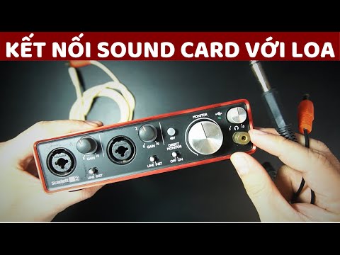 Sound Card Focusrite 2i2: Hướng dẫn kết nối với Loa Vi Tính để Thu Âm, Livestream bằng cáp chuyển