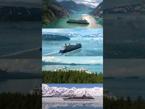 Four Reasons To Visit Alaska 