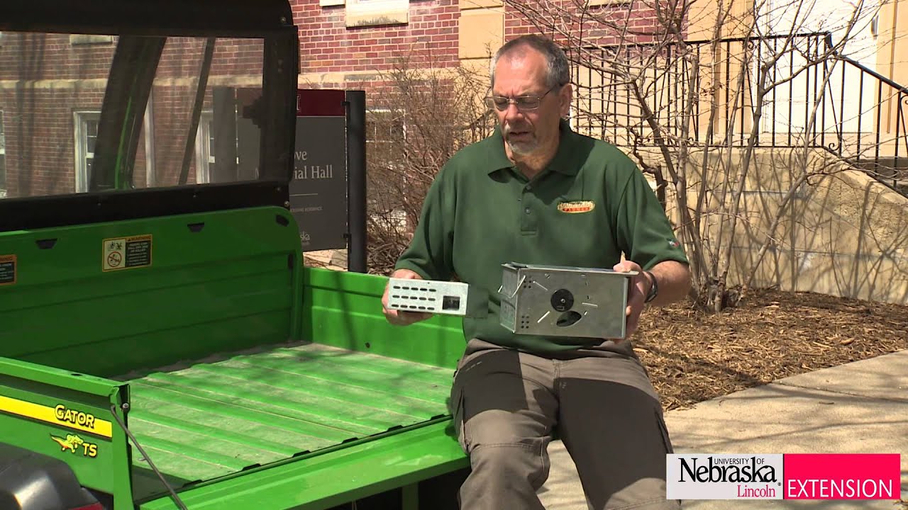 Green and Growing Tip: Vole and Mice Traps