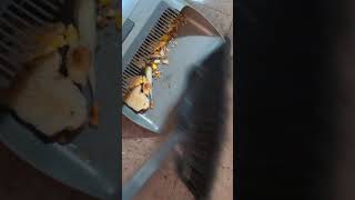 Quick living room reset before the chaos hits ✨ #momreset #busyhousehold #beforeandafterclean #fyp