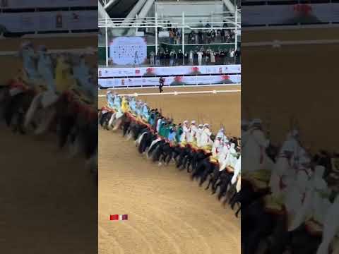 التبوريدة المغربية اﻷصيلة