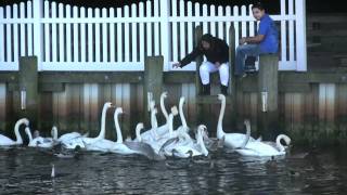 35th Annual Riverhead Country Fair