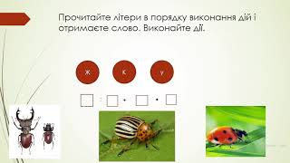 картинка: Математика. Повторення таблиці ділення на 2. Порядок виконання дій у виразах. 3 клас