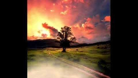 ما تيسر من سورة يوسف عليه السلام بمقام الحجاز