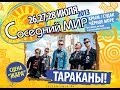 Тараканы! - Соседний МИР-2013