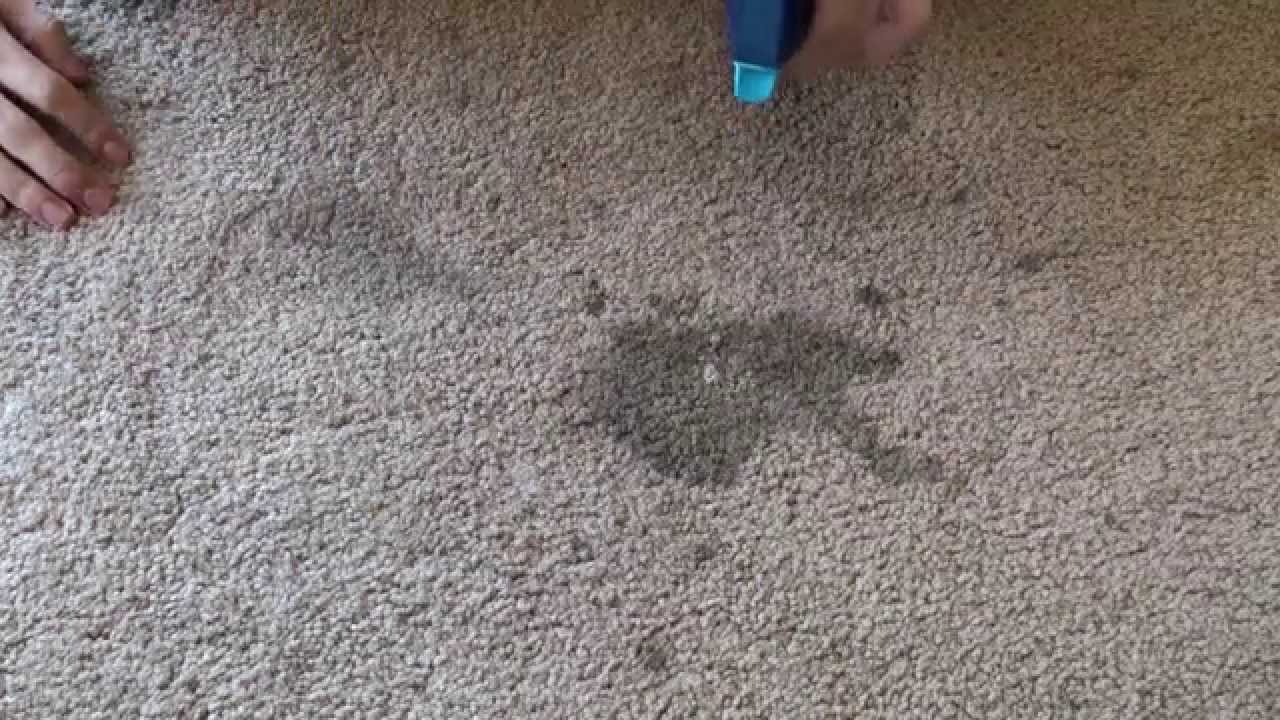 Bissell Professional Deep Cleaning with Febreze and Stain Pretreat for Carpet & Upholstery YouTube