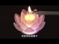 LOTUS　GRACE（ペガサスキャンドル）