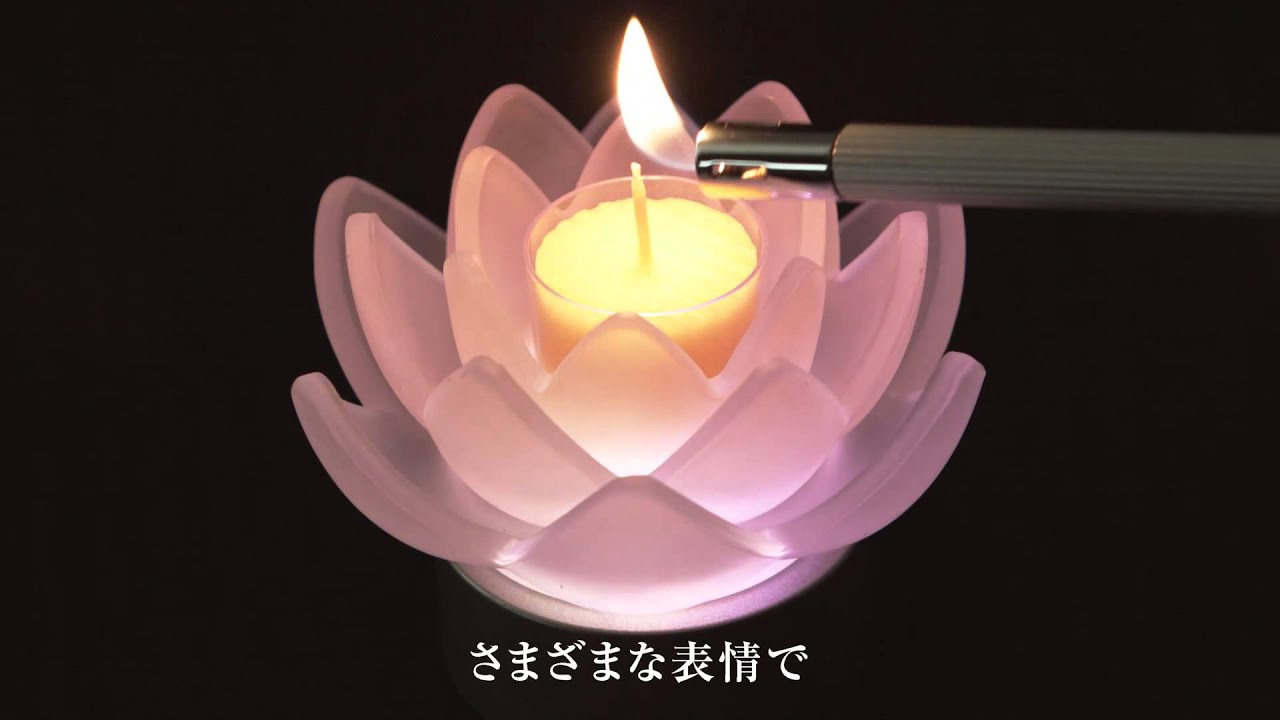 ローソクギフト 花爛漫 キャンドルワールド ローソクギフト 花爛漫 キャンドルワールド