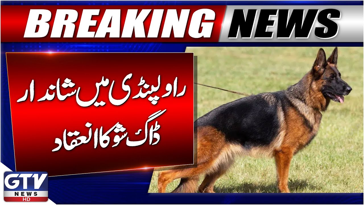 Breaking News: Dog Show Held in Rawalpindi | Latest News | GTV News
