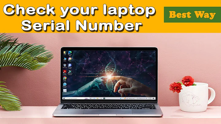 How to find Laptop serial number