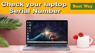 how to find laptop serial number