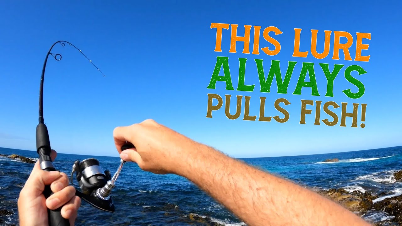 Australian Salmon LOVE This Lure! YouTube