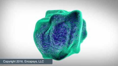 Mechanical Encapsulation