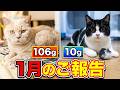2026年1月メッセージビデオ　messagevideo