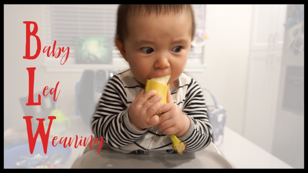 BABY LED WEANING Where to Start Doctor Mom YouTube