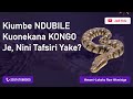 KIUMBE NDUBILE NDUBILU KUONEKANA NCHI YA KONGO JE NINI TAFSIRI YAKE