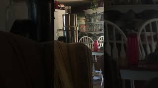 When Youre In The Kitchen Beating Your Meat- Funny