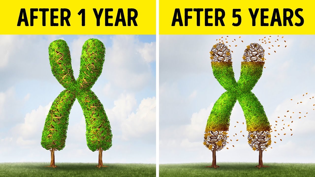 Sitting for 8 Hours Is a New Bad Habit