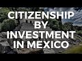 HOW TO BUY A PASSPORT? CITIZENSHIP BY INVESTMENT IN MEXICO