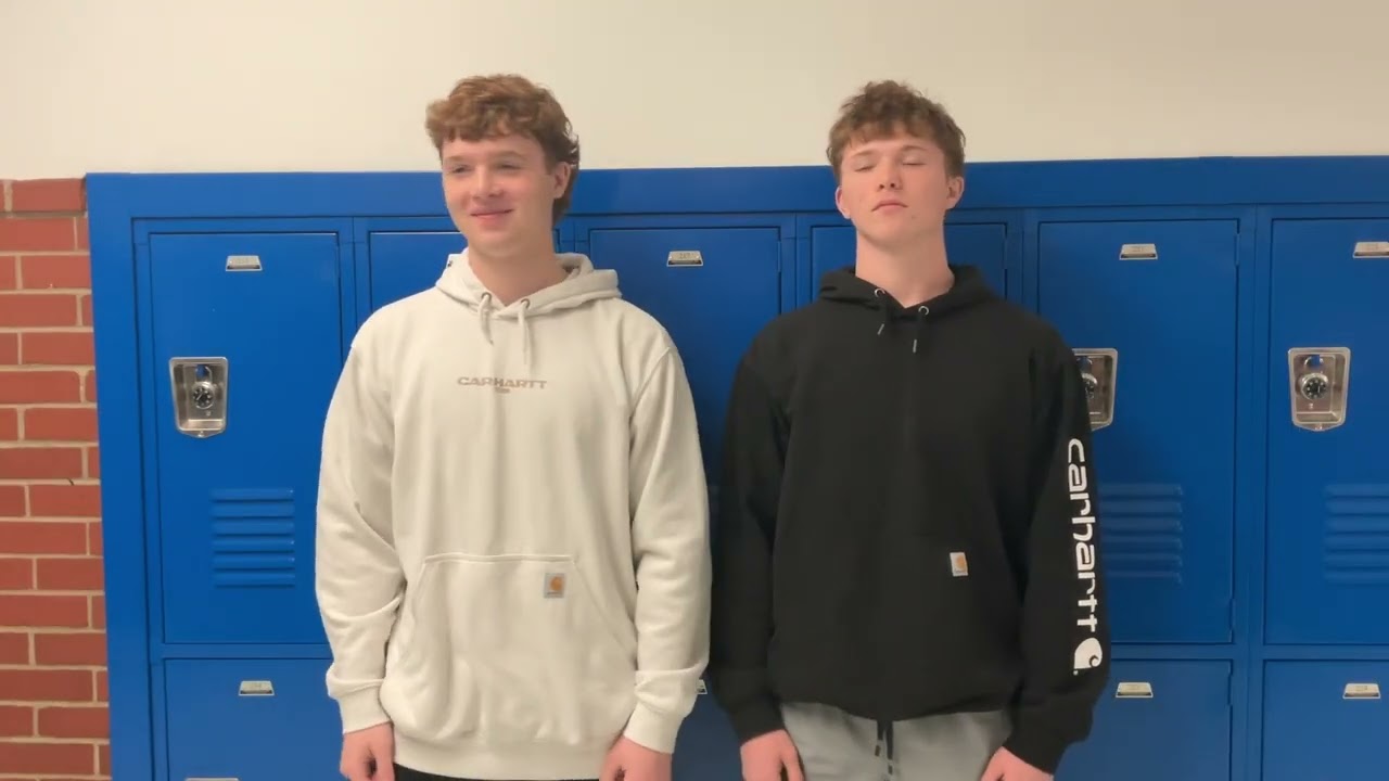 Can You Tell the Twins Apart?