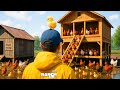 Building Premium Chicken Castle | Ranch Simulator Gameplay #6
