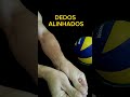 HEADLINE PASS DEFENSE Volleyball Volleyball Volleyball Training Shorts HEADLINE PASS DEFENSE Volleyball Volleyball Volleyball Training Shorts
