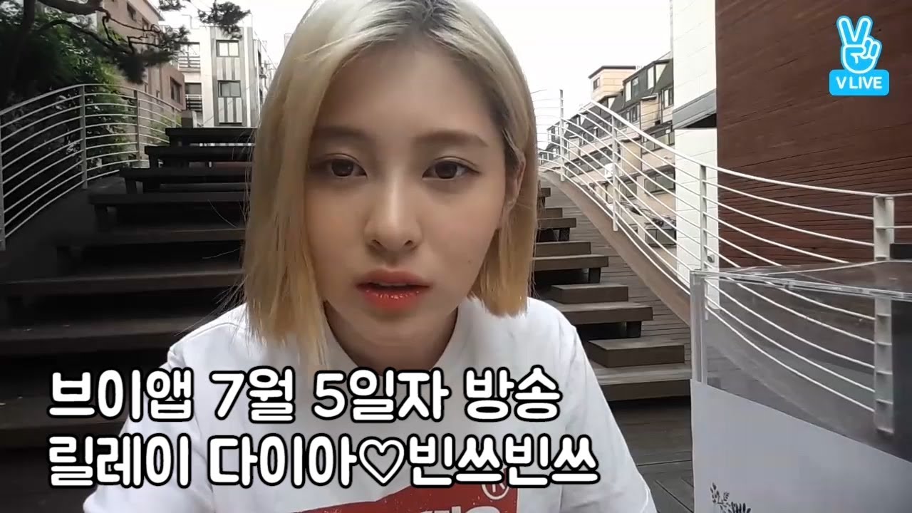 고양이가 무서웠던 예빈