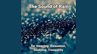 The Sound of Rain Pt. 24
