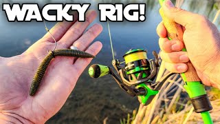 Bass Fishing with a Wacky Rig! (EXCELLENT for Beginners)