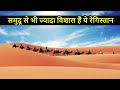 Top 10 Largest Deserts of World | विश्व के 10 सबसे बड़े मरूस्थल