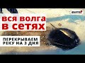 Проверяем СЕТИ на Волге! Неожиданный улов на мелководье.