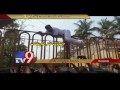 MLA Mustafa jumps over PS gate, gets arrested