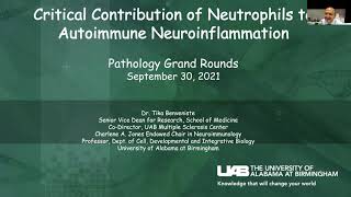 "Critical Contribution of Neutrophils to Autoimmune Neuroinflammation"
