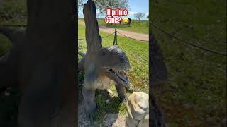IL PRIMO CANE DELLA PREISTORIA? ECCOLO IL DIMETRODON IL PRIMO MAMMIFERO DELLA STORIA MECCATRONICA
