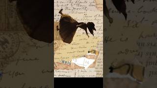 Alice by PEGGY - Collage Animation #art #flipaclip #aliceinwonderland #wonderland #collage