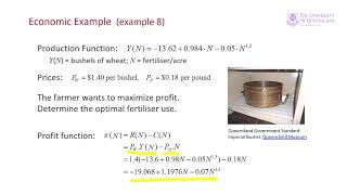 ECON1050 Lecture 6 Example 8