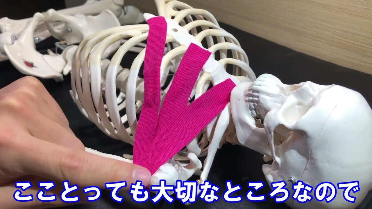 大胸筋の伸ばし方（バリエーション）